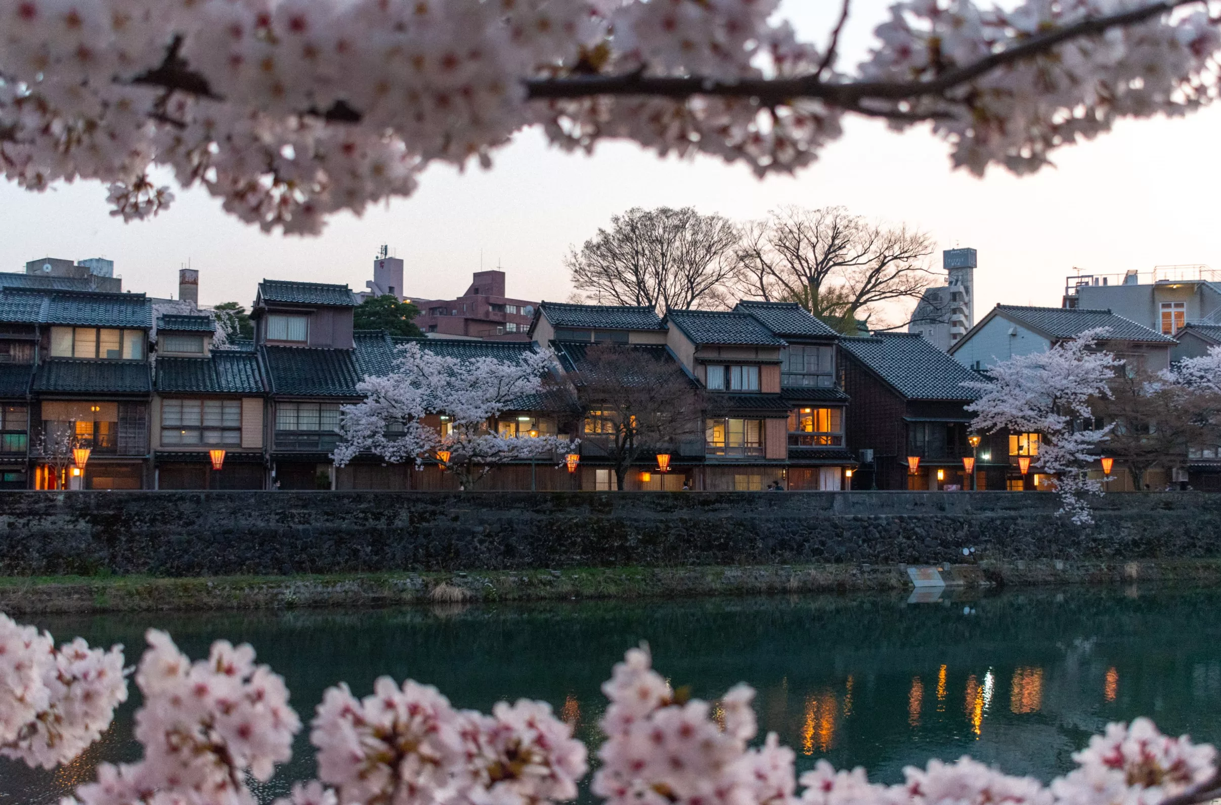Kanazawa ken kara kimashita.